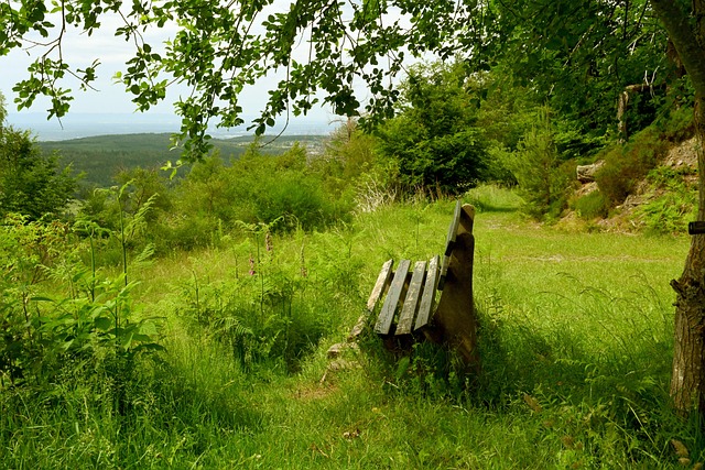 亚冠的表现 亚冠的表现